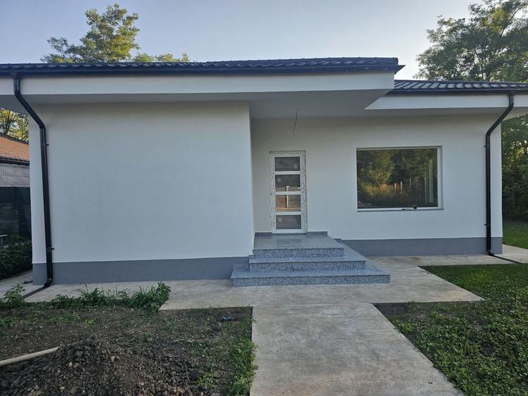 Casă cu 3 camere în Movilița