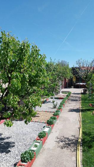 Casă cu Teren 527 Mp în Mânăstirea