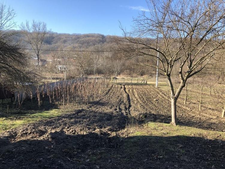 Casă cu 2 camere în Sâmburești