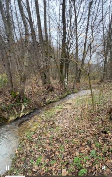 Teren Construcții intravilan de 6500 mp, în Morărești