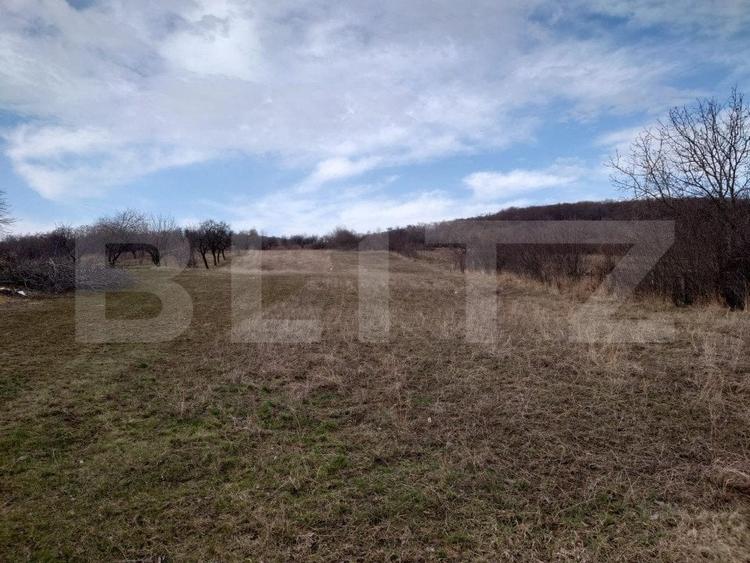 Teren Construcții intravilan de 6312 mp, în Dobrovăț