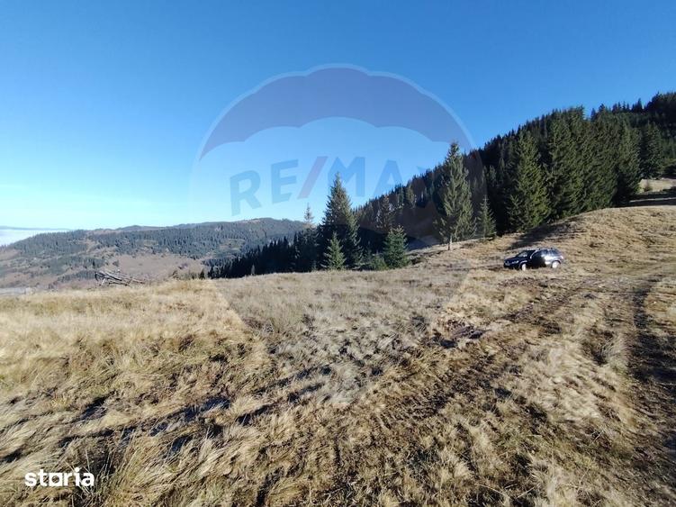 Teren de 31461 mp, în Panaci