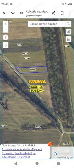 Teren de 2800 mp, în Probota