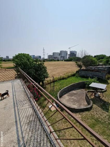 Casă cu 6 camere cu Teren 4500 Mp în Torontalului
