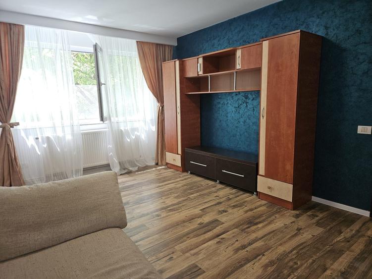 Apartament cu doua camere micut dar modern in Trivale - 6