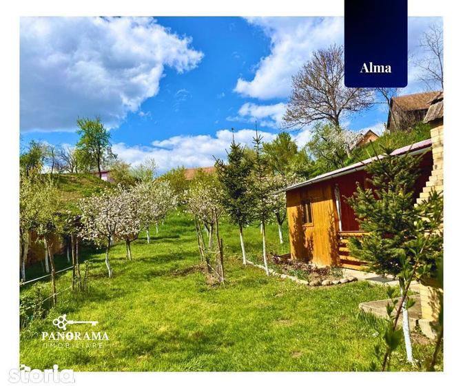 Teren Intravilan cu cabana in satul transilvanean Alma - 11