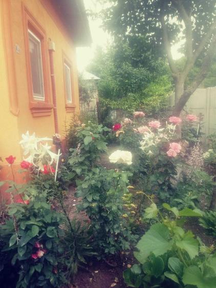 Casă cu 4 camere în Cerăt