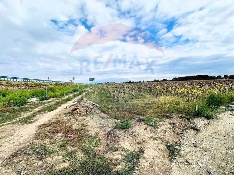 Teren Construcții intravilan de 14863 mp, în Ciorogârla