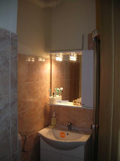 apartament 1 camera de vanzare central Podgoria - 4