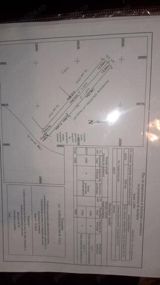 Teren de 5000 mp, în Afumați