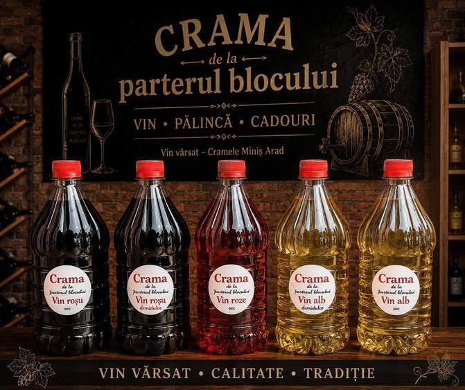 Se vinde afacere la cheie Crama de la parterul blocului (Sannicolau Mare) - 4
