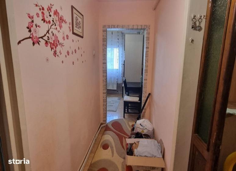 Apartament 2 camere Alexandru cel Bun , 54 metri, etaj 1 Cod:162224 - 4