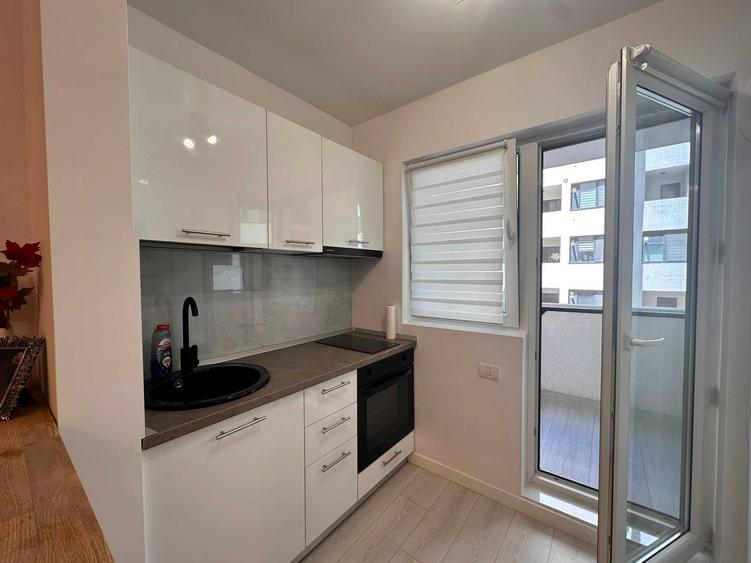 De inchiriat Apartament 2 camere / Studio Str. Biruintei 81 - 3