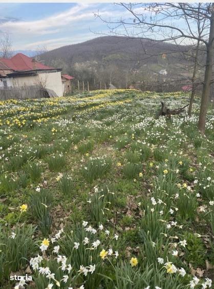 Casă cu 3 camere cu Canalizare în Ștefănești