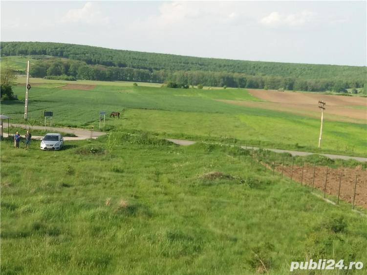 Casă cu 6 camere cu Teren 5000 Mp în Baldovinești