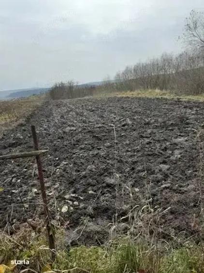 Casă cu 2 camere în Rediu
