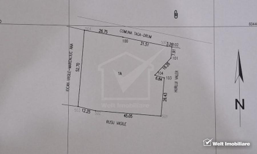 Teren Construcții de 2976 mp, în Țaga