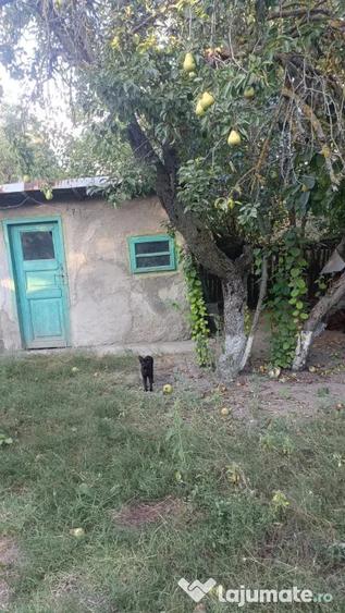 Casă cu 5 camere în Clejani