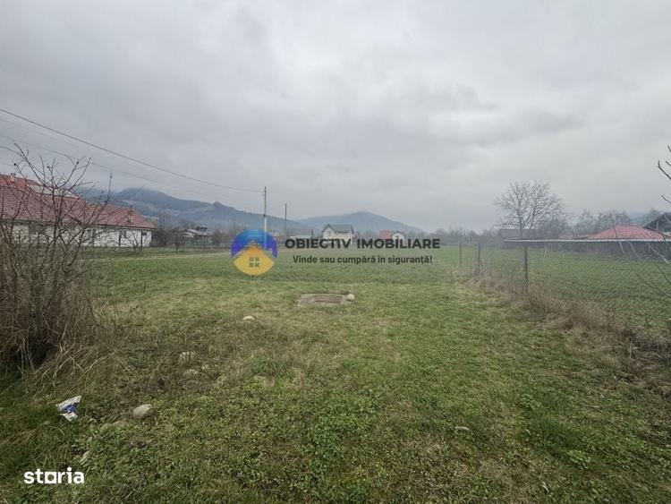 Spațiu comercial, în Viișoara