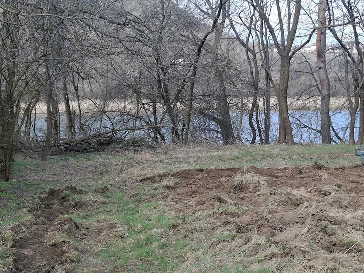 Teren de 3800 mp, în Fedeleșoiu