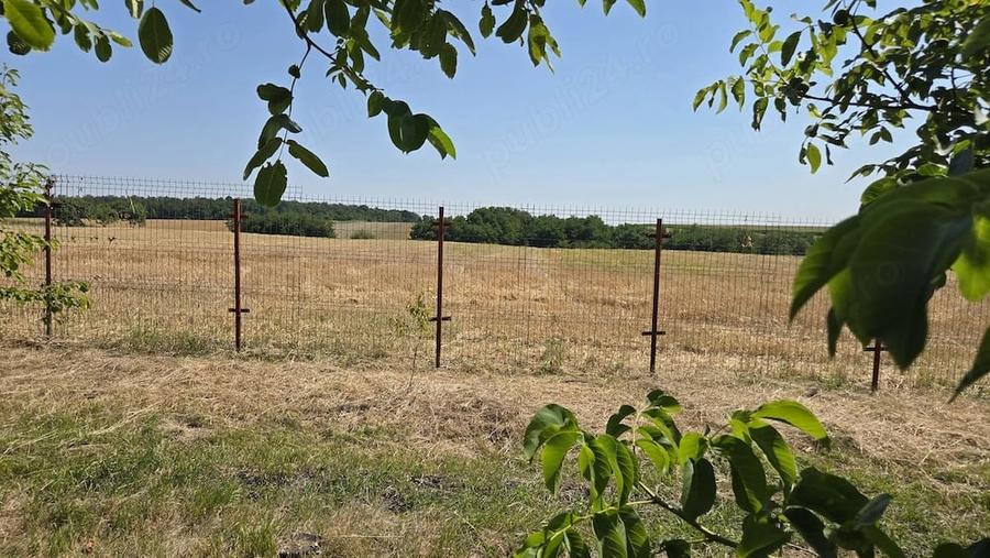 Casă cu Teren 6000 Mp în Racova