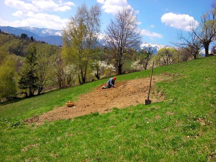 teren intravilan in zona Magura Bran - 22