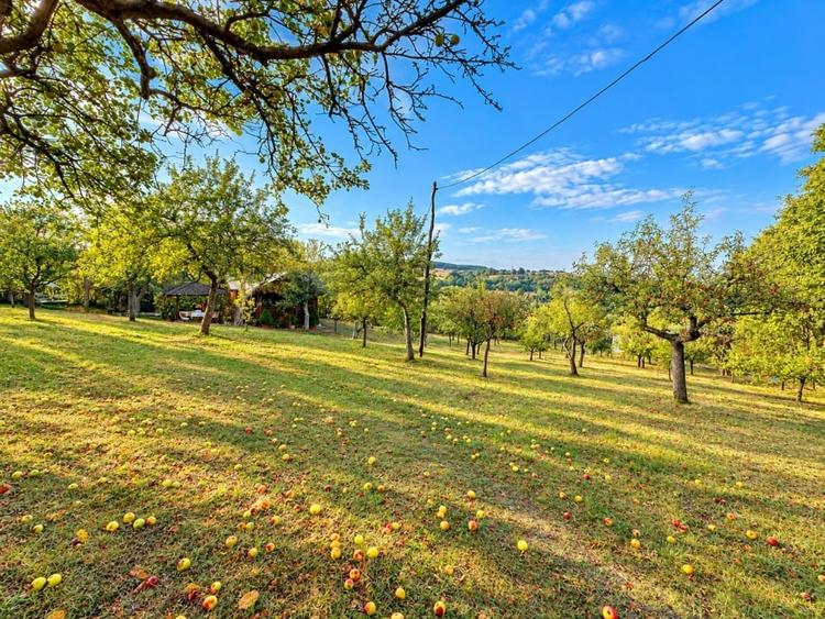 Casă individuală cu 2 camere cu Teren 3400 Mp în Cugir