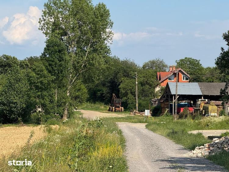 Teren de 3632 mp, în Viile Satu Mare