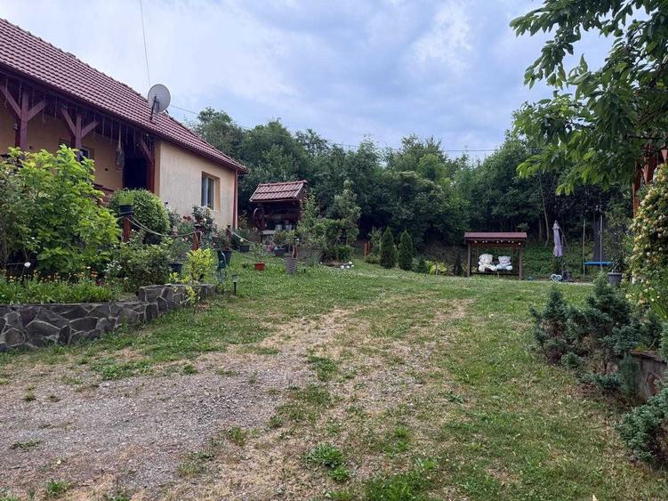 Casă cu 2 camere în Fotoș