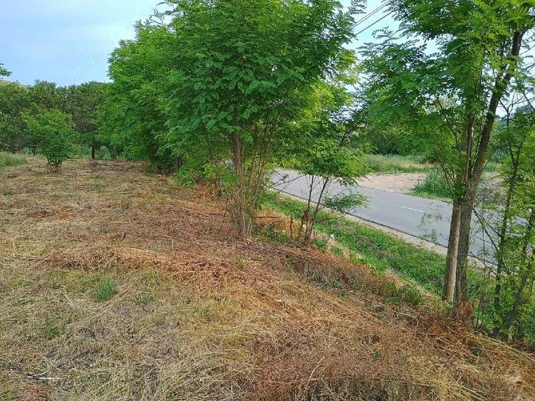 Teren de 4000 mp, în Florești