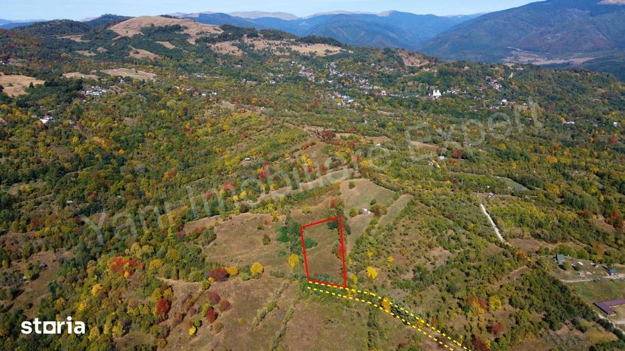 Teren de 6262 mp, în Nucșoara