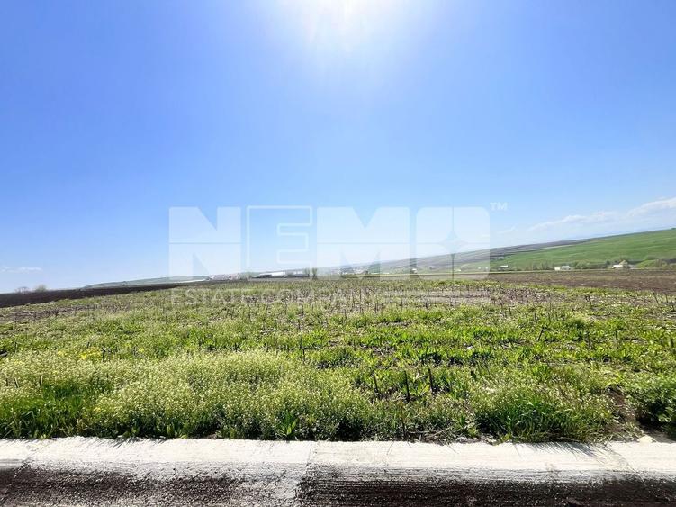 Teren agricol intravilan de 2600 mp, în Moara