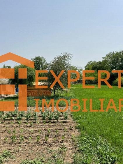 Teren Construcții intravilan de 2581 mp, în Mihail Kogălniceanu