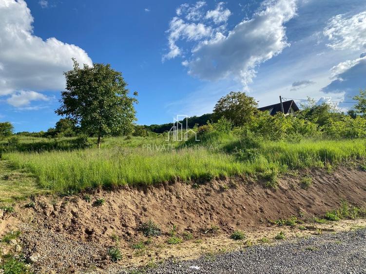 Teren agricol intravilan de 500 mp, în Bărdești