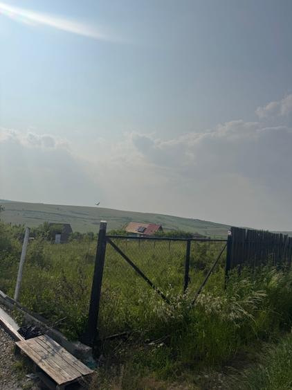 Teren de 500 mp, în Central