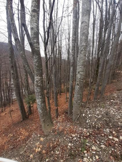 Teren Construcții intravilan de 879 mp, în Sinaia
