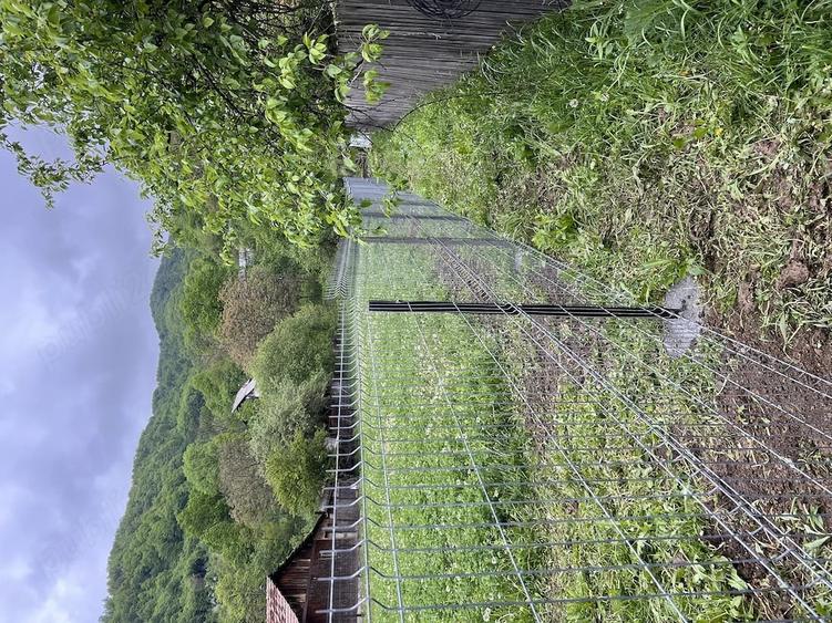 Se vinde teren intravilan 580m - 3