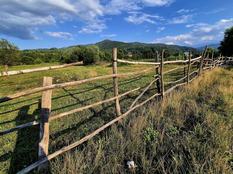 Teren agricol extravilan de 3021 mp, în Șinca Nouă