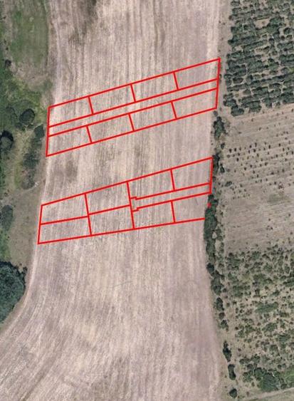 Teren agricol extravilan de 600 mp, în Rusciori