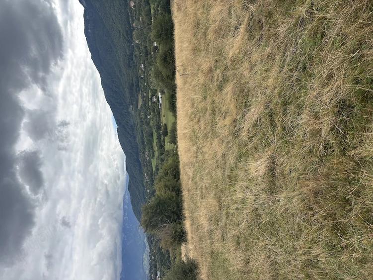 Teren de vanzare 2100 m2 zona Tohanita Zarne?ti - 2