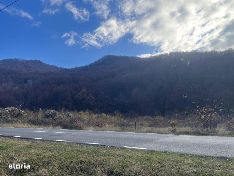 Teren Valea Doftanei / Baraj Paltinu / Sat Seciuri - 4