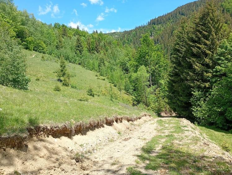 Casă cu 3 camere în Horea