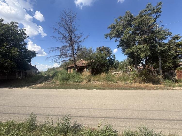 Teren de 3200 mp, în Dridu