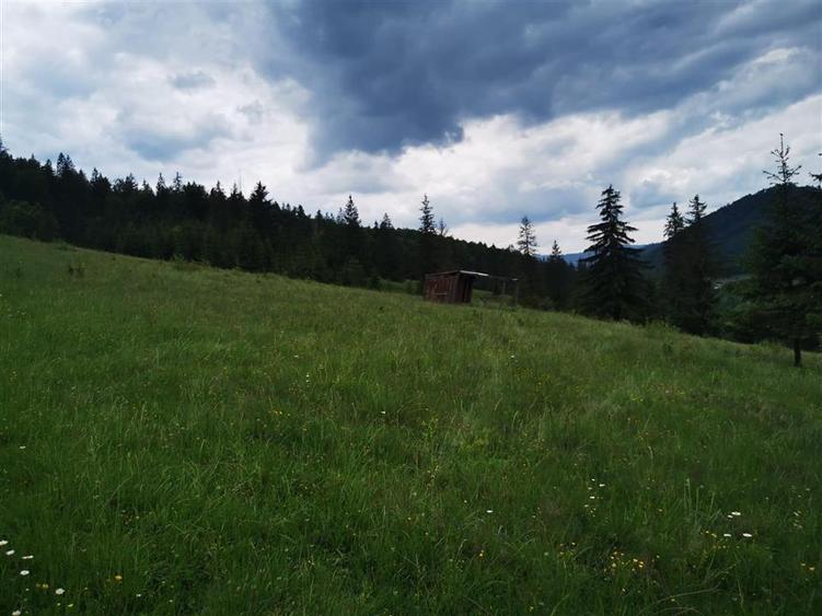 Teren intravilan de 1000 mp, în Văleni-Stânișoara