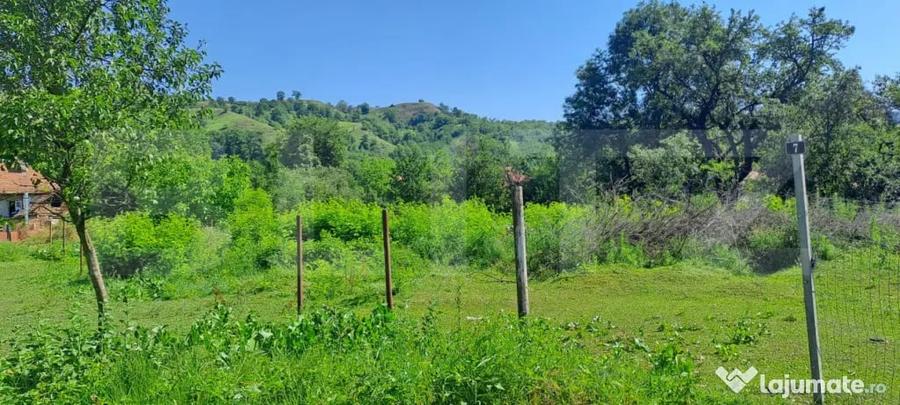 Teren intravilan 1.000 mp cu PUZ, priveli?te Mun?ii Faga - 1