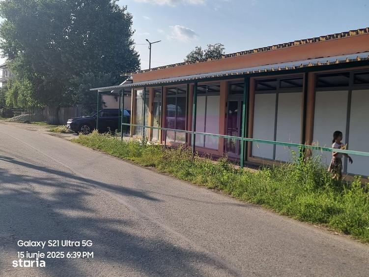 Casă cu 4 camere cu Teren 6000 Mp în Teișori