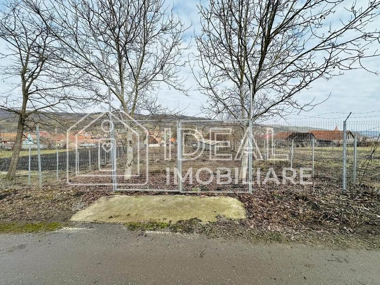 Teren Construcții intravilan de 1334 mp, în Alămor