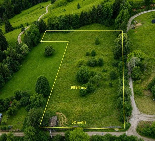 Teren intravilan de 9994 mp, în Hangu