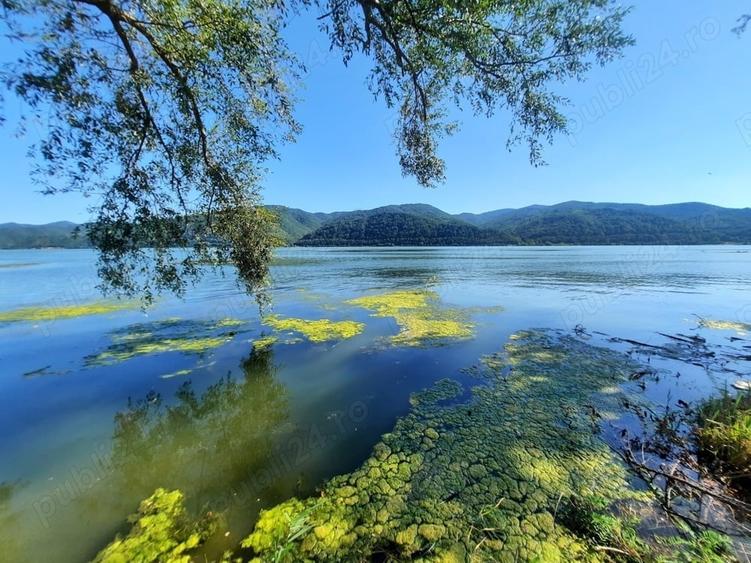Teren de 1000 mp, în Berzasca