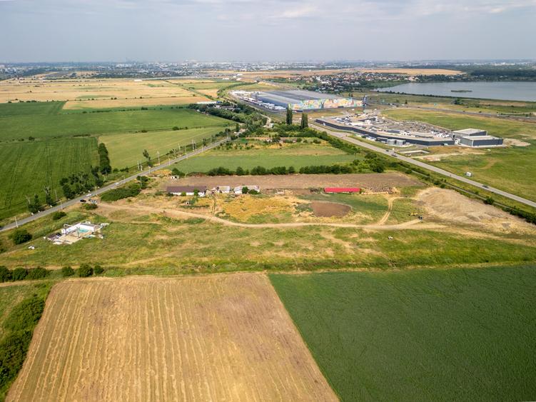 Teren Construcții intravilan de 30000 mp, în Cernica